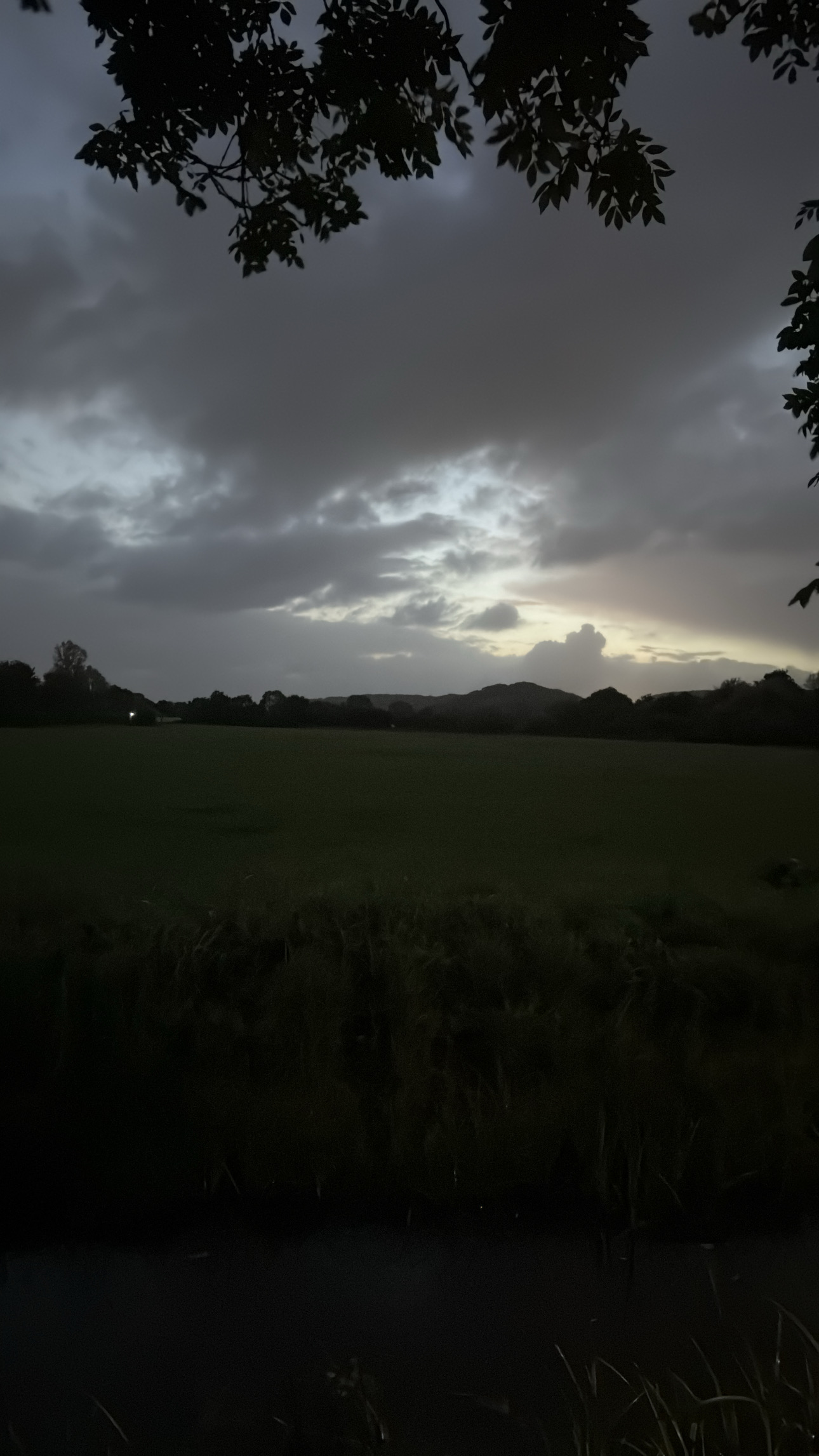 Selected project image